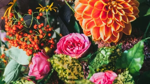 Buy One Bouquet, Get a Succulent Free